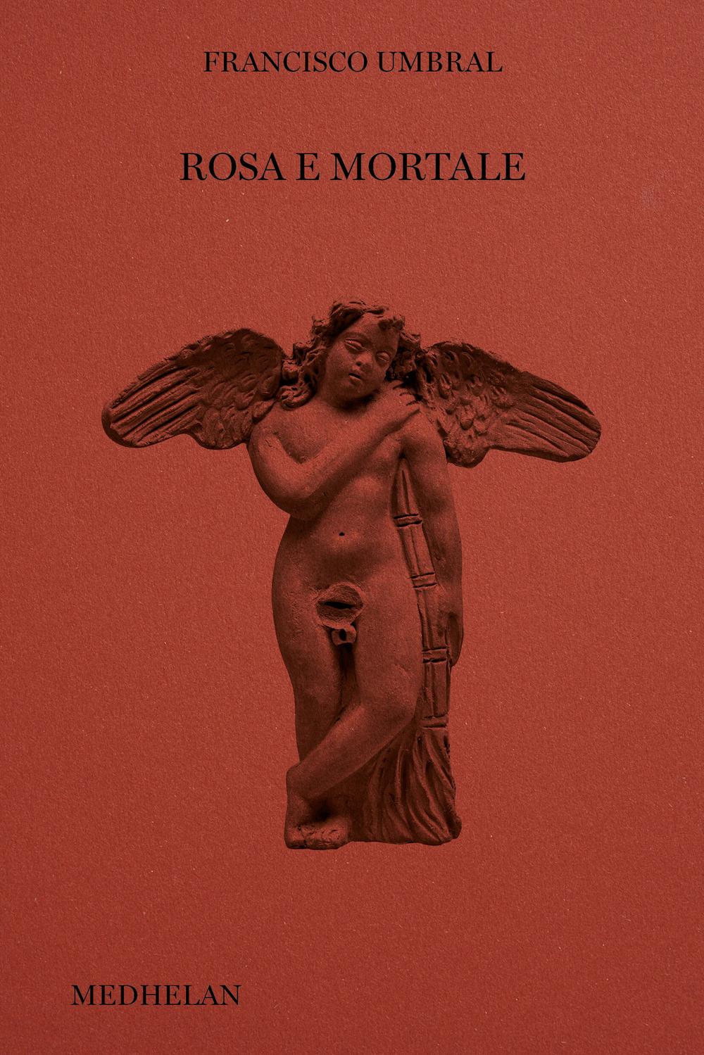 Vorderes Coverbild Rosa e mortale