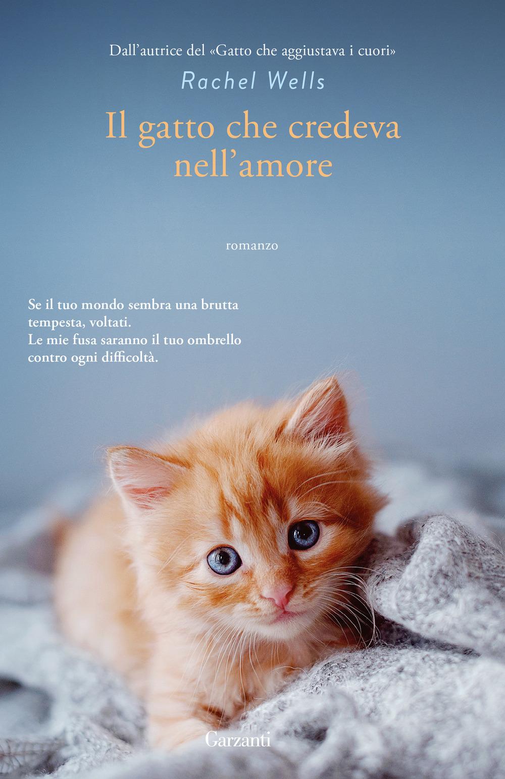Vorderes Coverbild Il gatto che credeva nell'amore