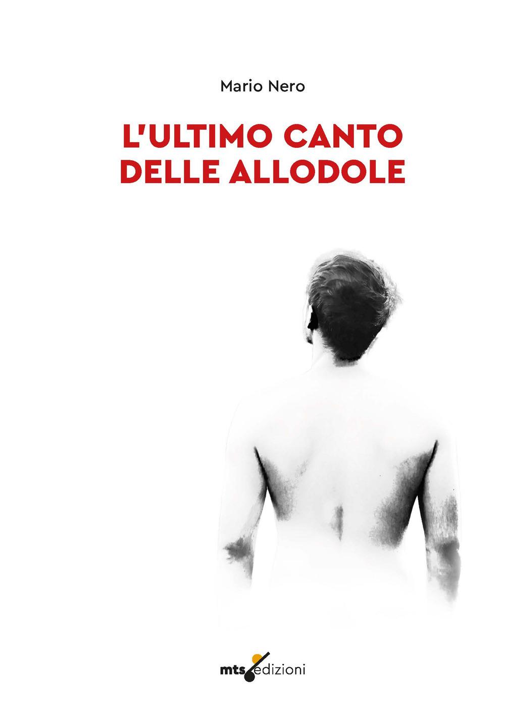 Vorderes Coverbild L' ultimo canto delle allodole
