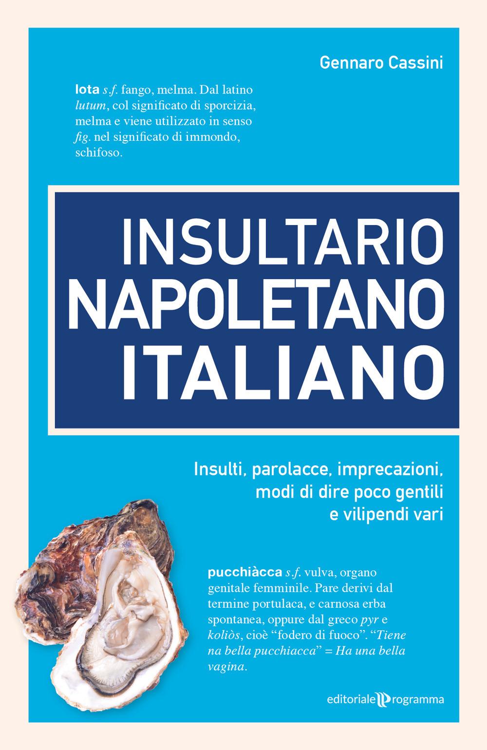 Vorderes Coverbild Insultario napoletano italiano. Insulti, parolacce, imprecazioni, modi di dire poco gentili e vilipendi vari