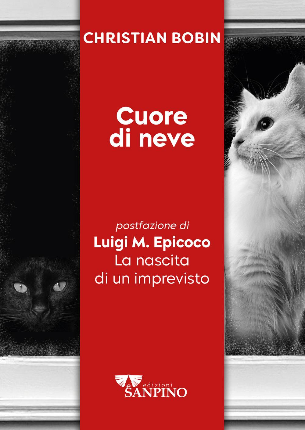 Vorderes Coverbild Cuore di neve