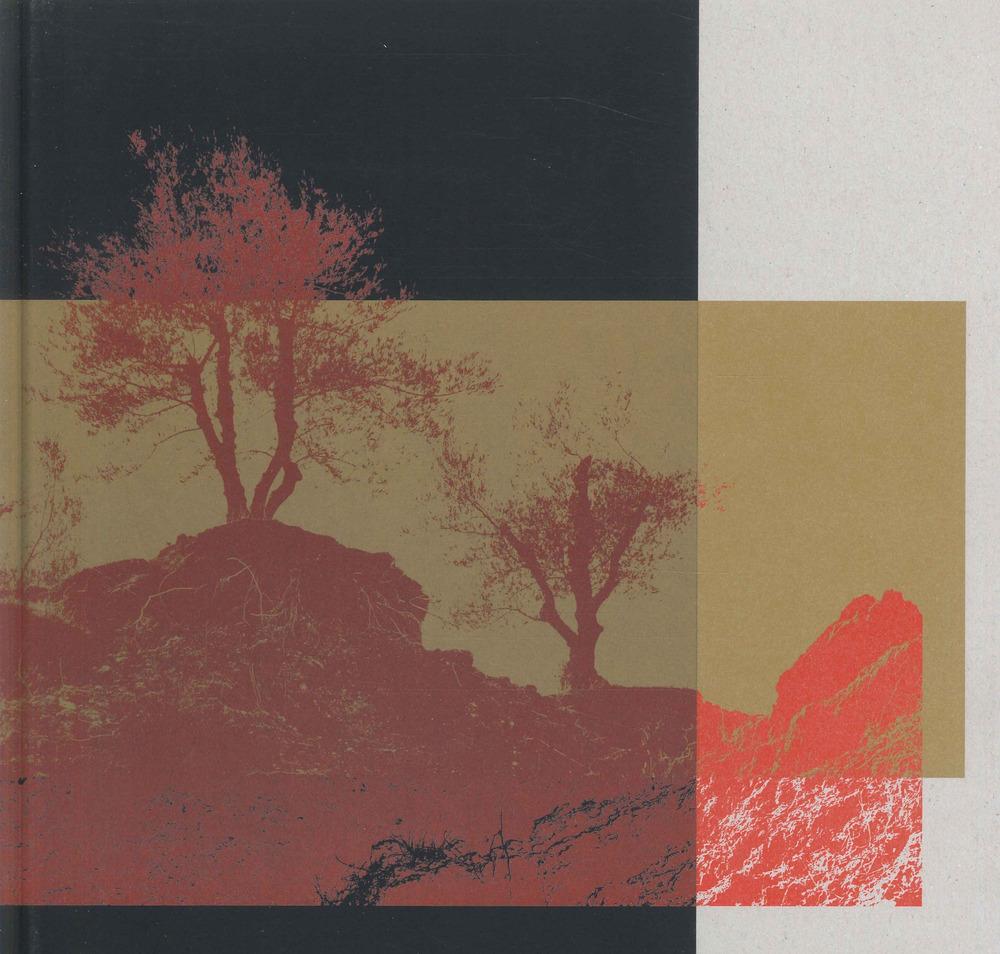 Vorderes Coverbild Romagna sfigurata