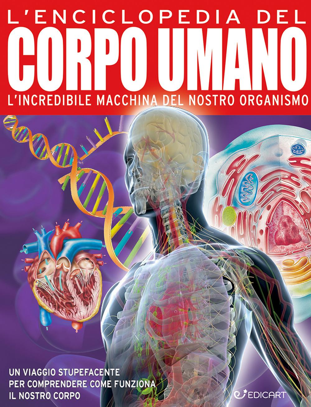 Vorderes Coverbild L' enciclopedia del corpo umano