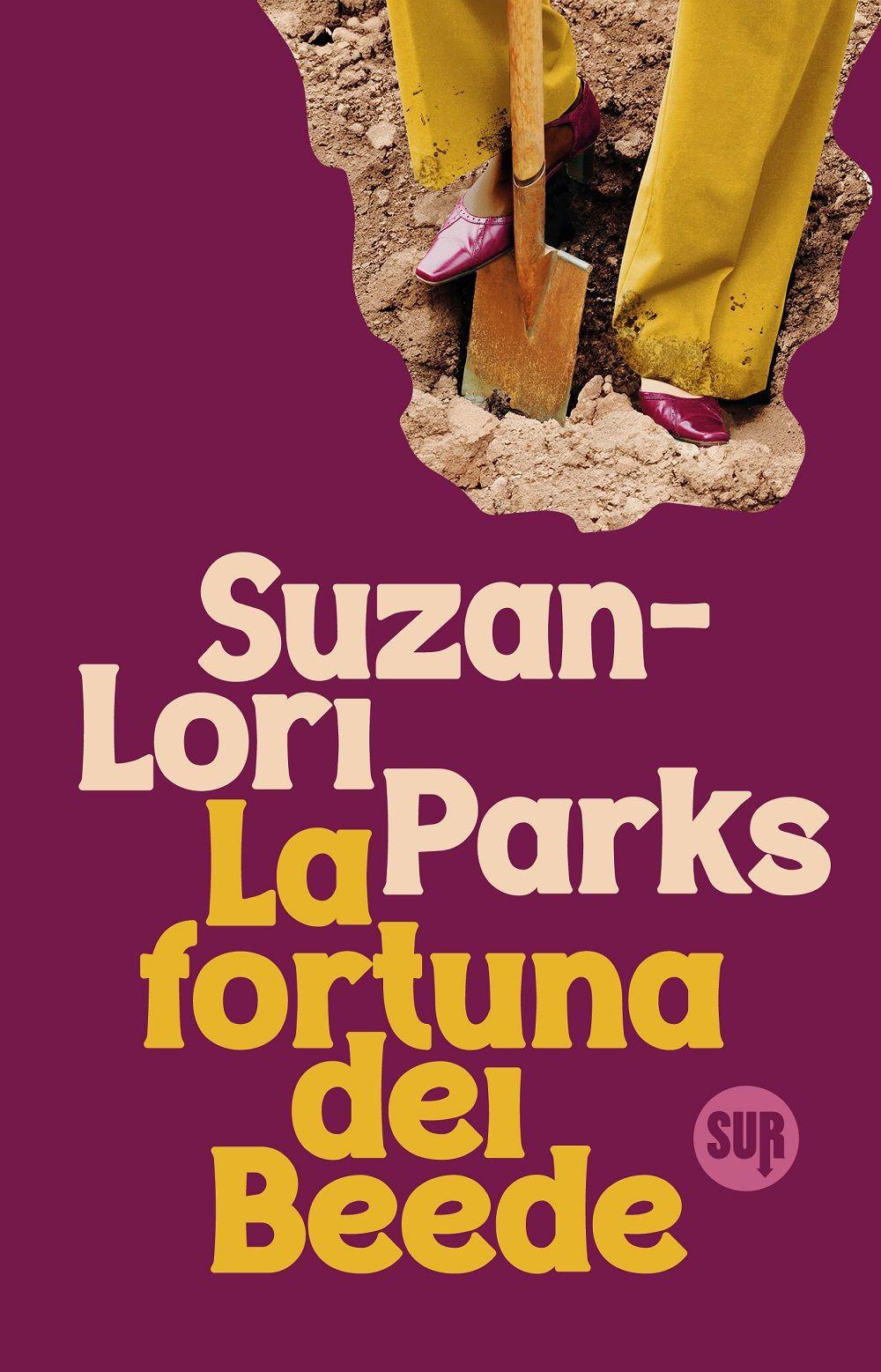 Vorderes Coverbild La fortuna dei Beede