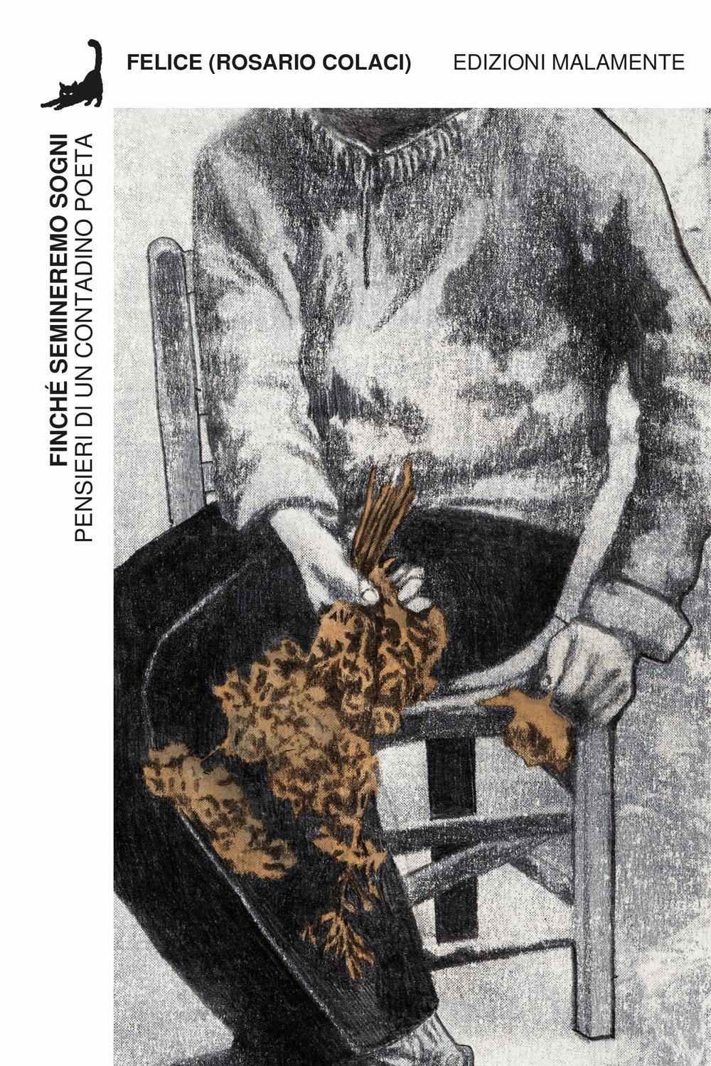 Vorderes Coverbild Finché semineremo sogni. Pensieri di un contadino poeta