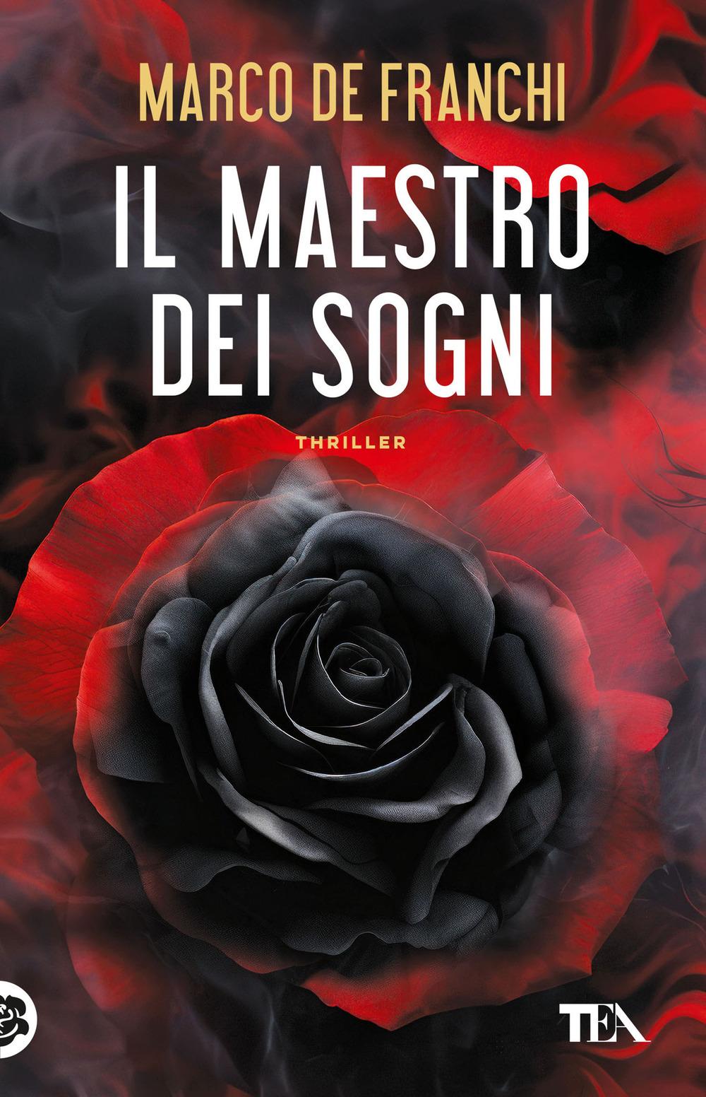 Vorderes Coverbild Il maestro dei sogni