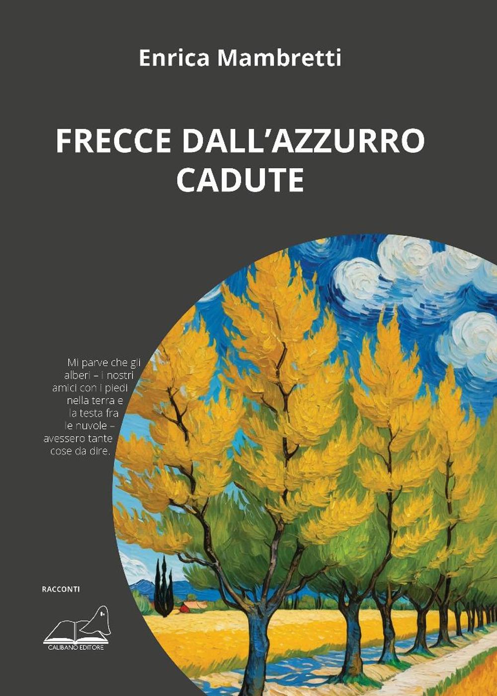 Vorderes Coverbild Frecce dall'azzurro cadute