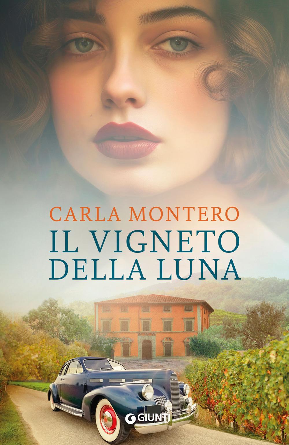 Vorderes Coverbild Il vigneto della luna