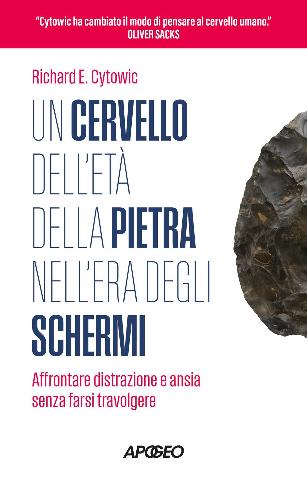 Vorderes Coverbild Un cervello dell'età della pietra nell'era degli schermi. Affrontare distrazione e ansia senza farsi travolgere