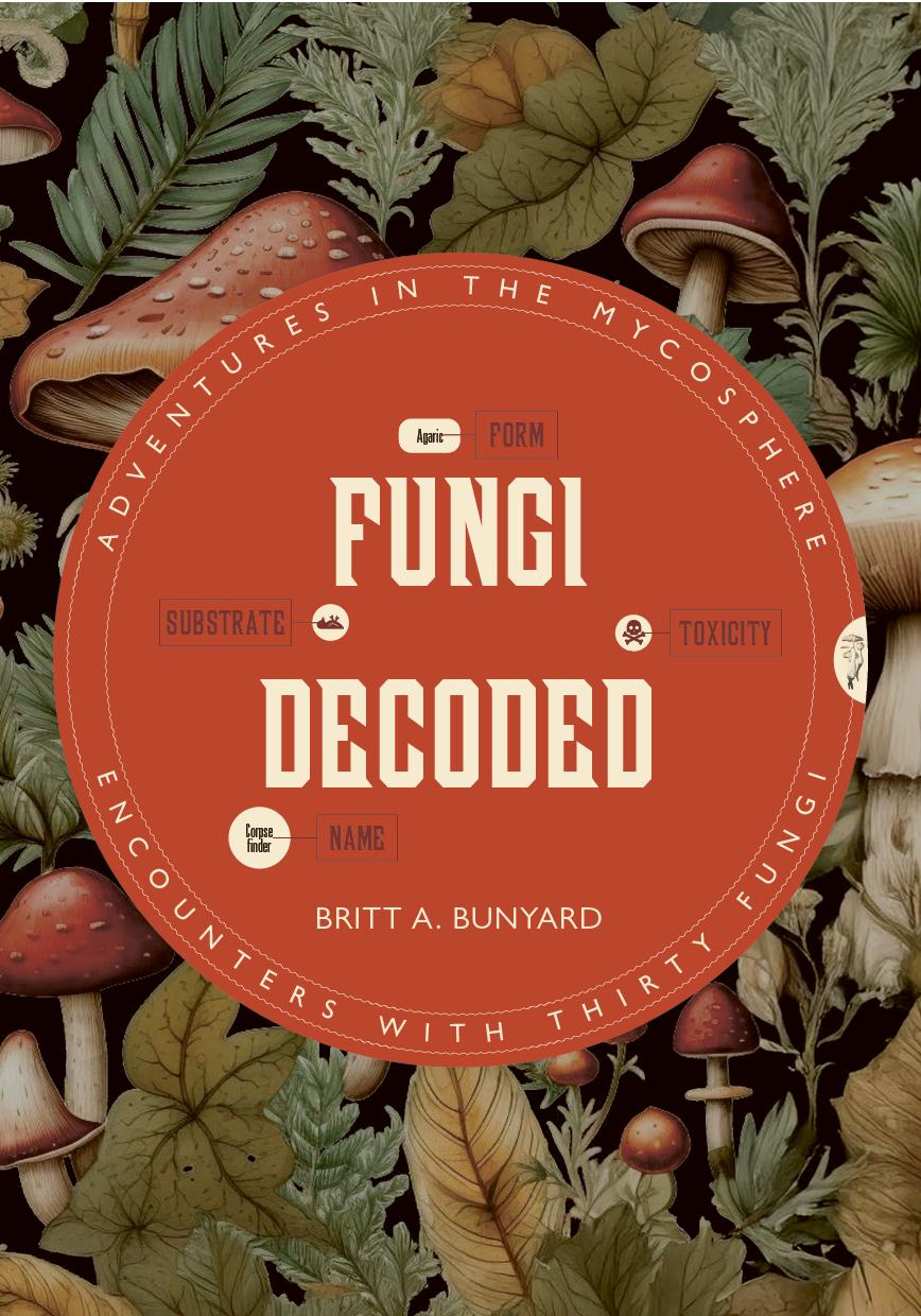 Vorderes Coverbild Fungi Decoded