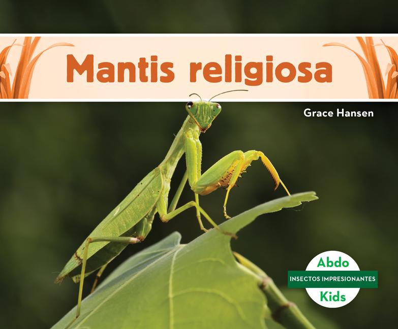 Vorderes Coverbild Mantis Religiosa (Praying Mantis)