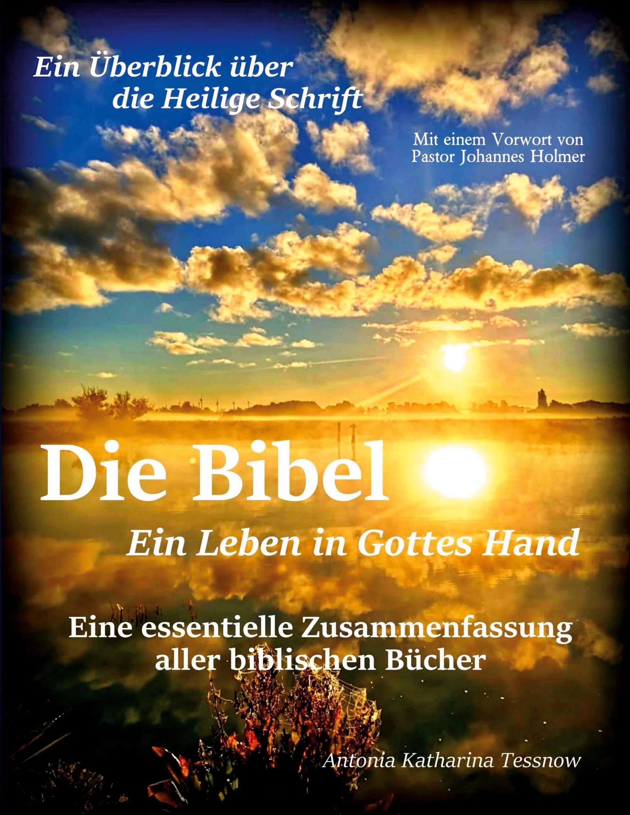 Vorderes Coverbild Die Bibel - Ein Leben in Gottes Hand, Eine essentielle Zusammenfassung aller biblischen Bücher