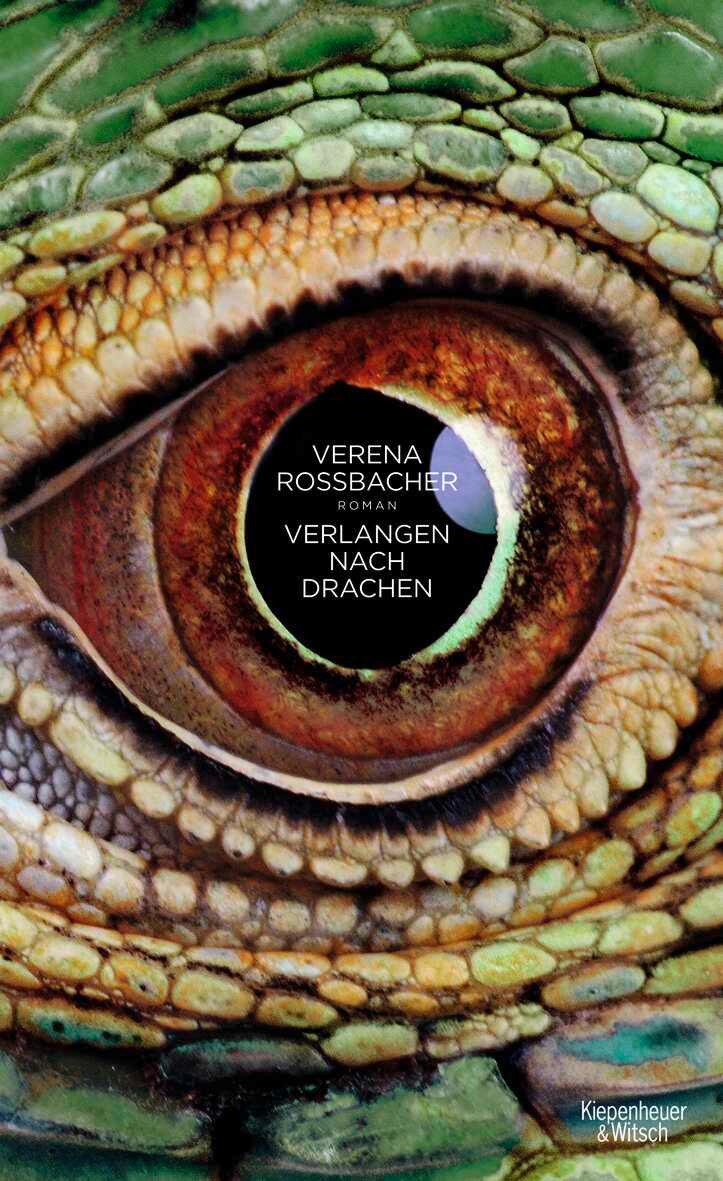 Vorderes Coverbild Verlangen nach Drachen
