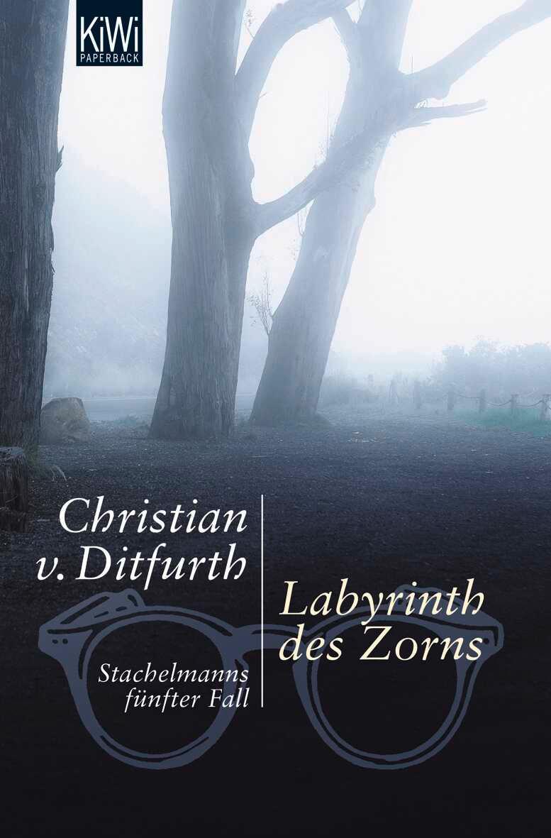 Vorderes Coverbild Labyrinth des Zorns