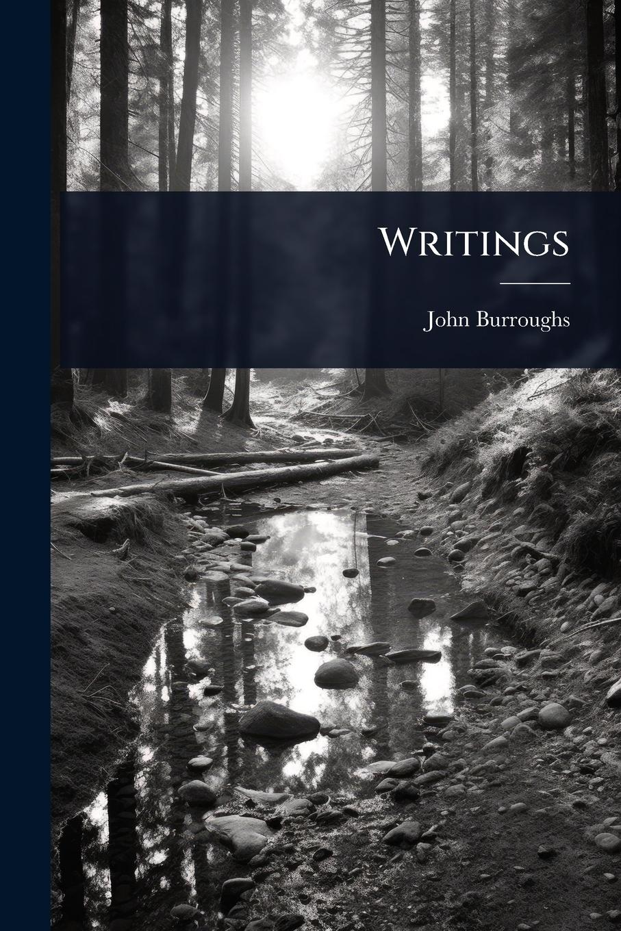 Vorderes Coverbild Writings