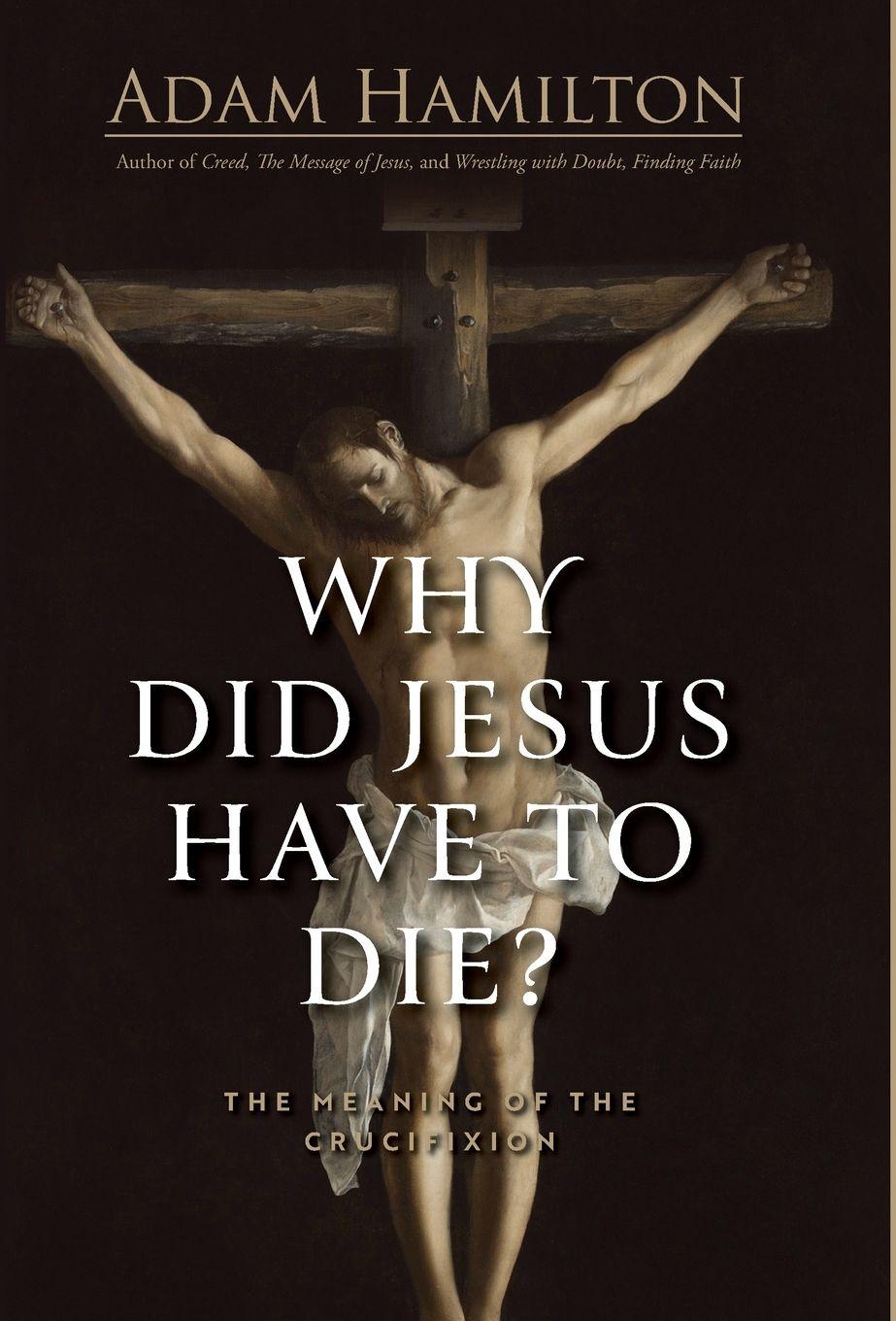 Vorderes Coverbild Why Did Jesus Have to Die?