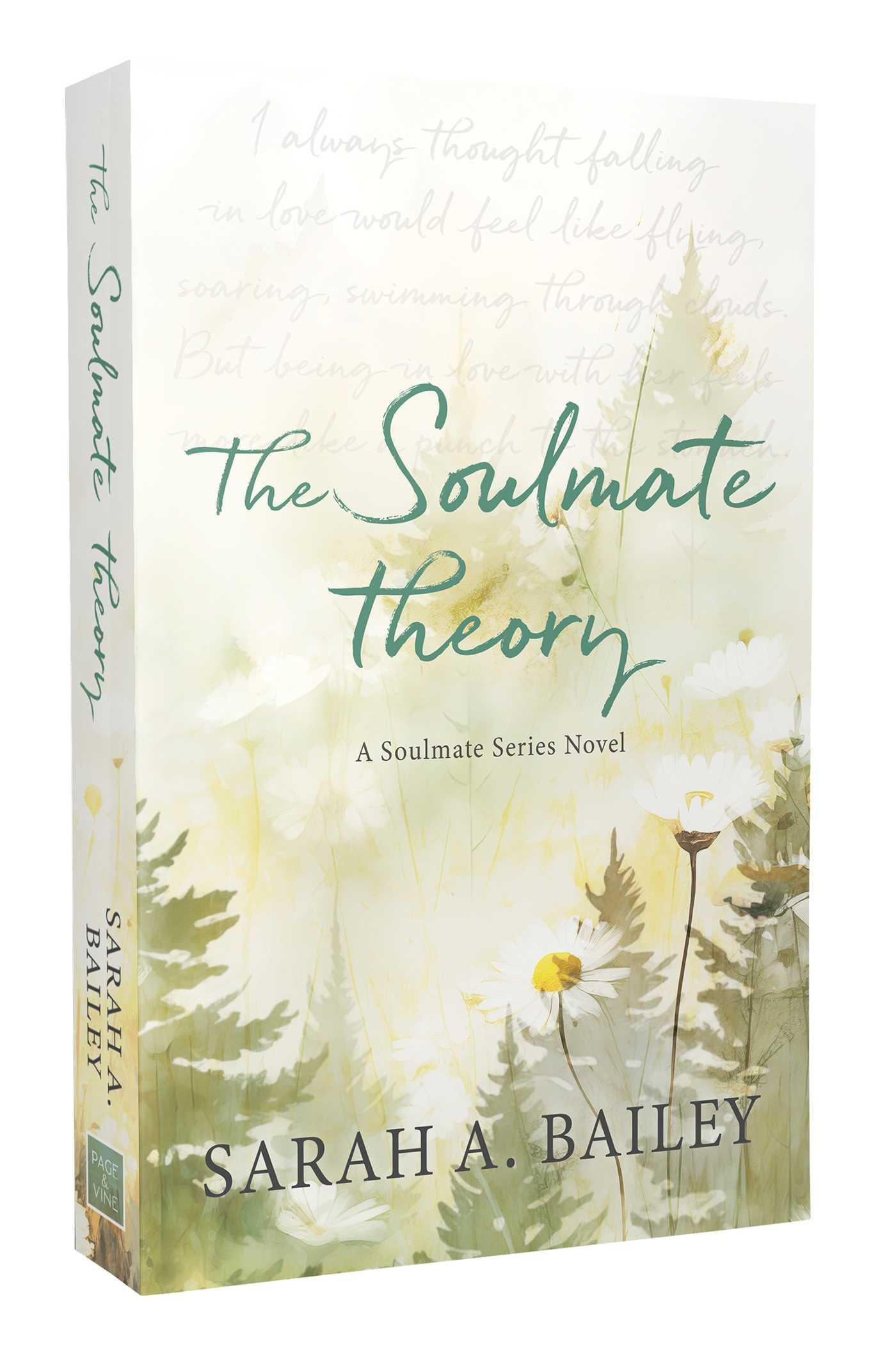 Vorderes Coverbild The Soulmate Theory