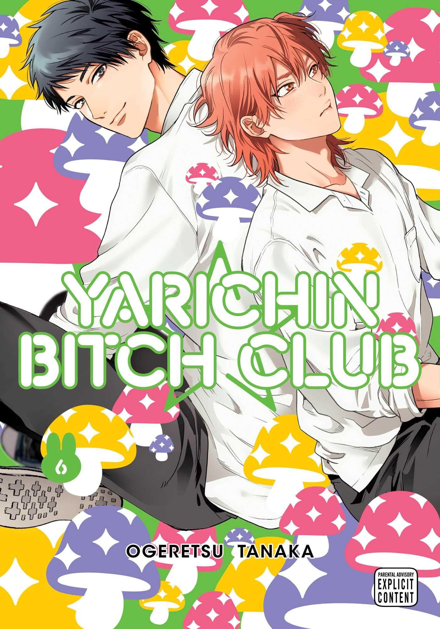 Vorderes Coverbild Yarichin Bitch Club, Vol. 6