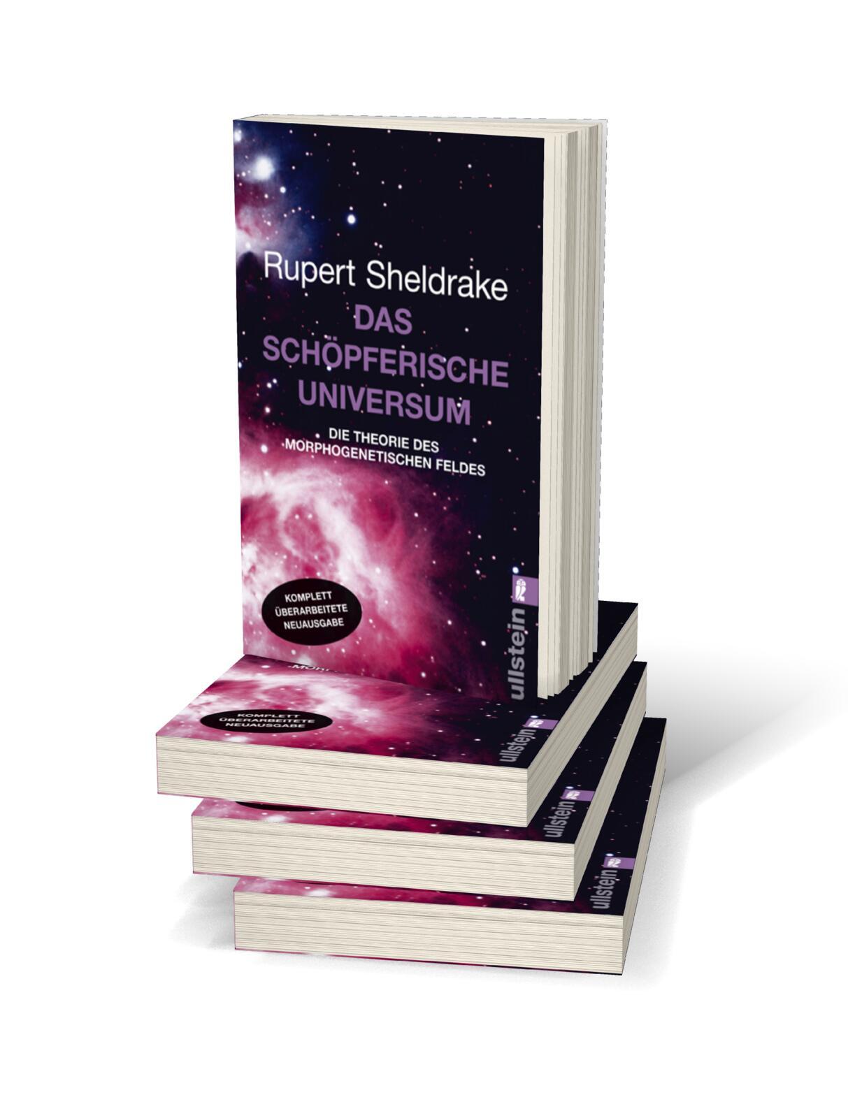 Beispielinhalt (Bild) Das schöpferische Universum