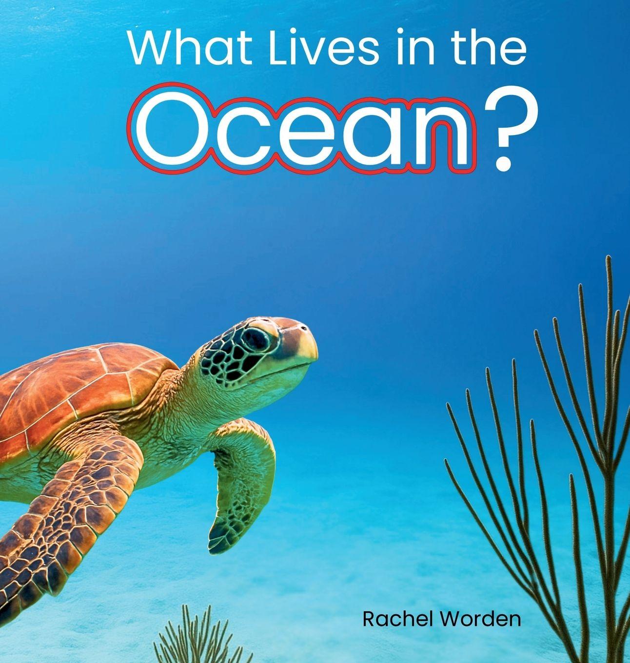 Vorderes Coverbild What Lives in the Ocean? (Habitat Series)
