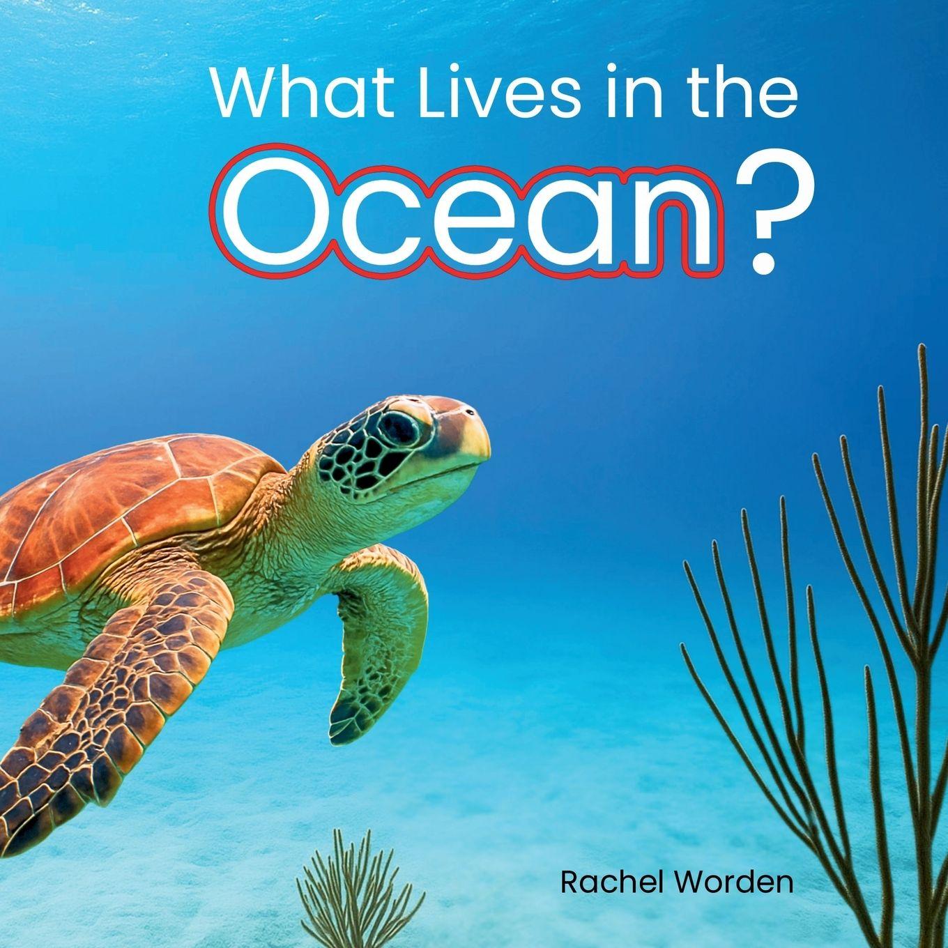 Vorderes Coverbild What Lives in the Ocean