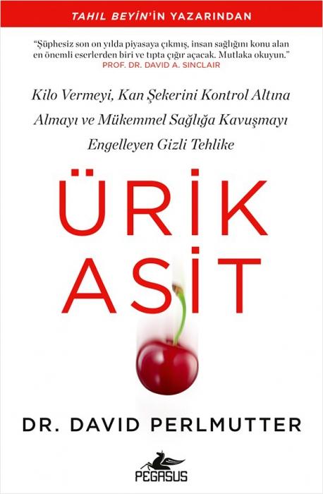 Vorderes Coverbild Ürik Asit