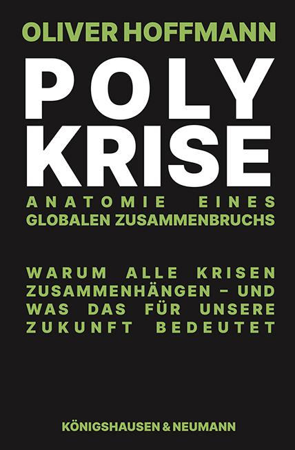 Vorderes Coverbild Polykrise