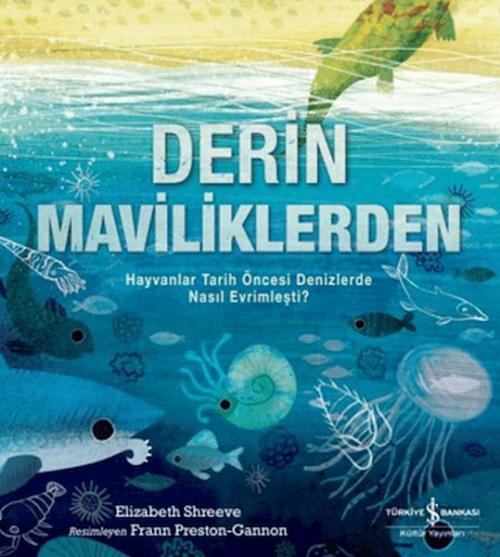Vorderes Coverbild Derin Maviliklerden