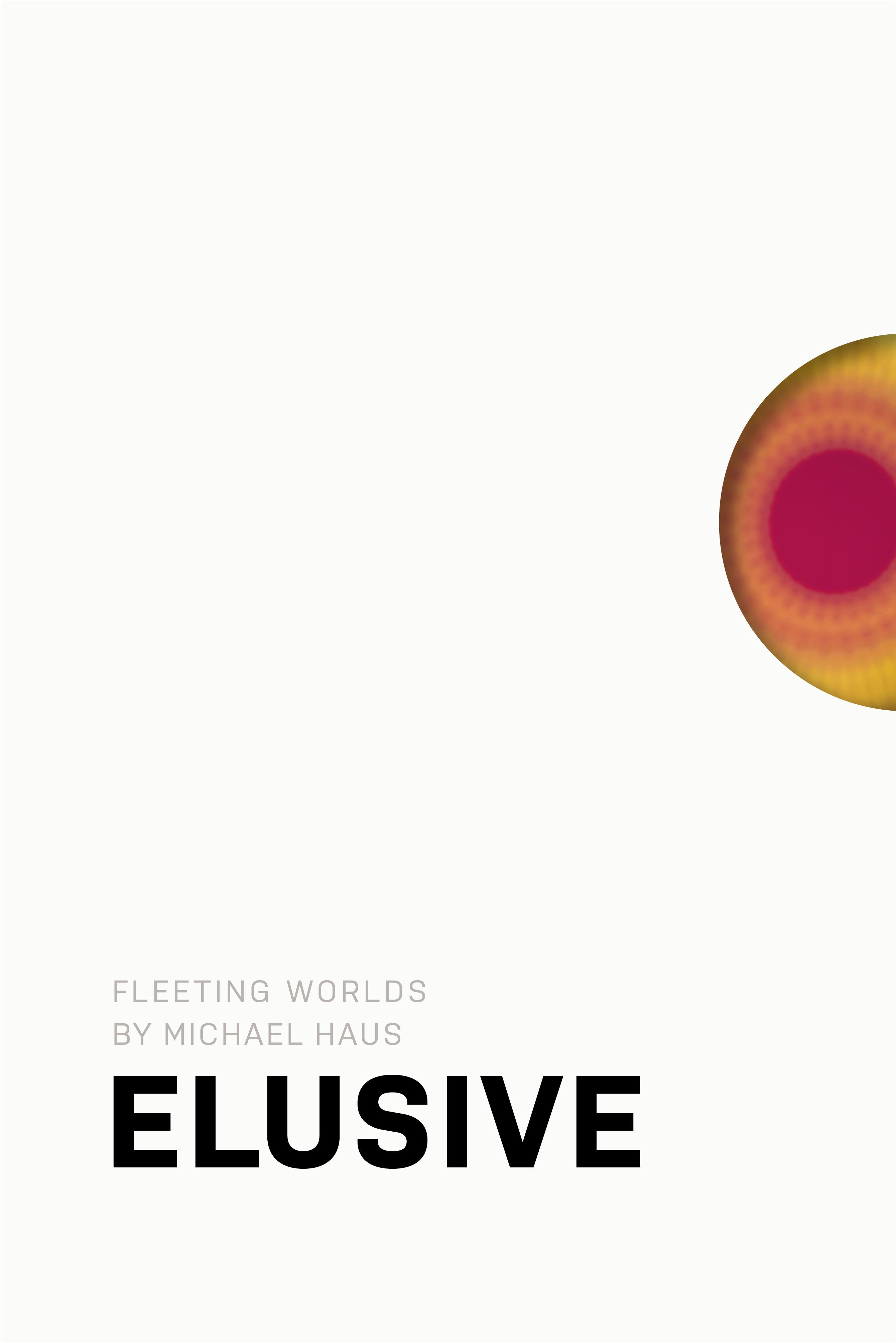 Vorderes Coverbild Michael Haus: Elusive