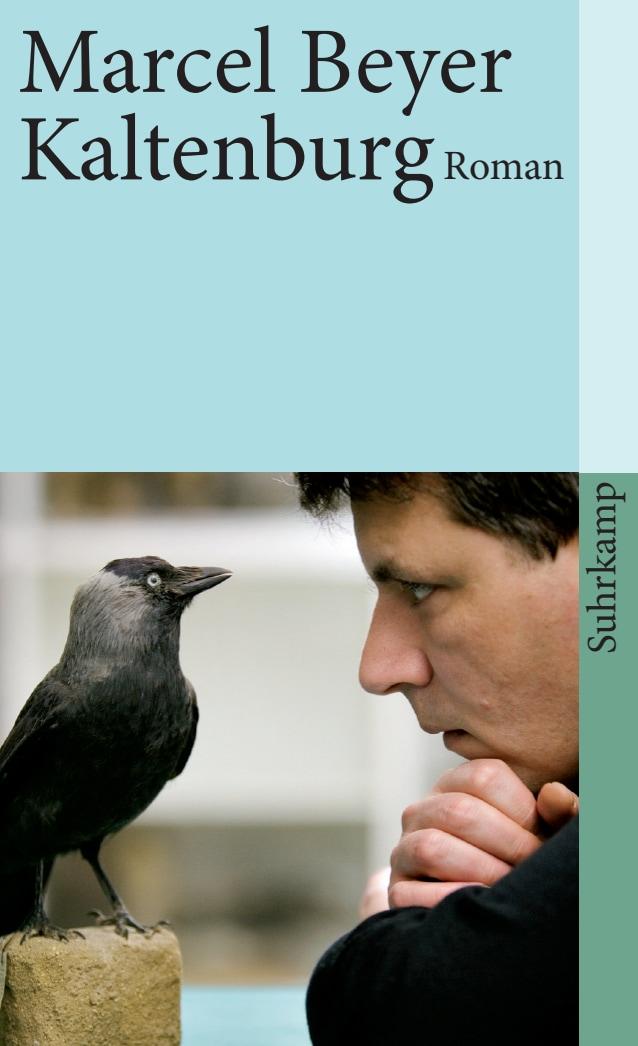 Vorderes Coverbild Kaltenburg