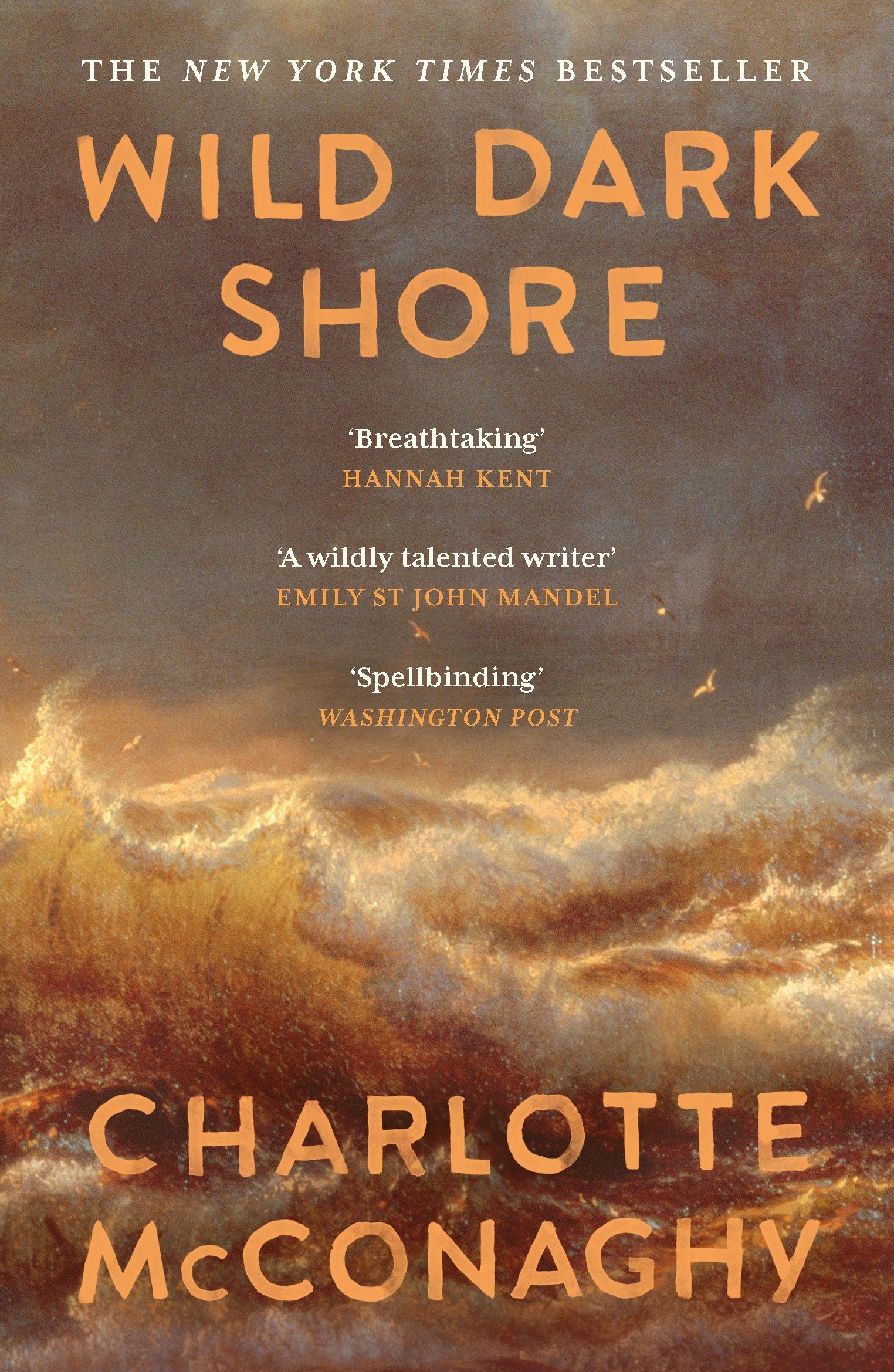 Vorderes Coverbild Wild Dark Shore