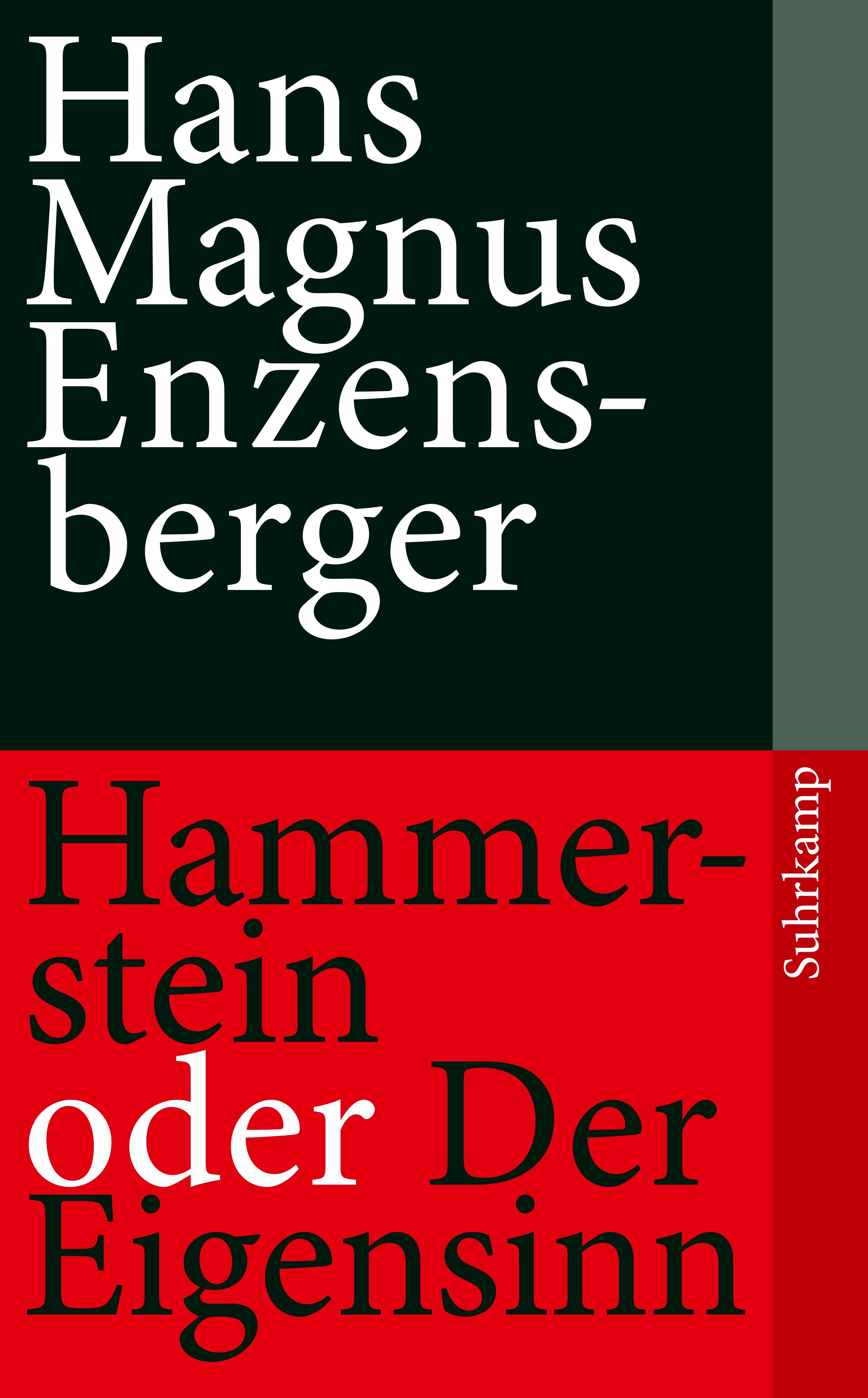 Vorderes Coverbild Hammerstein oder Der Eigensinn