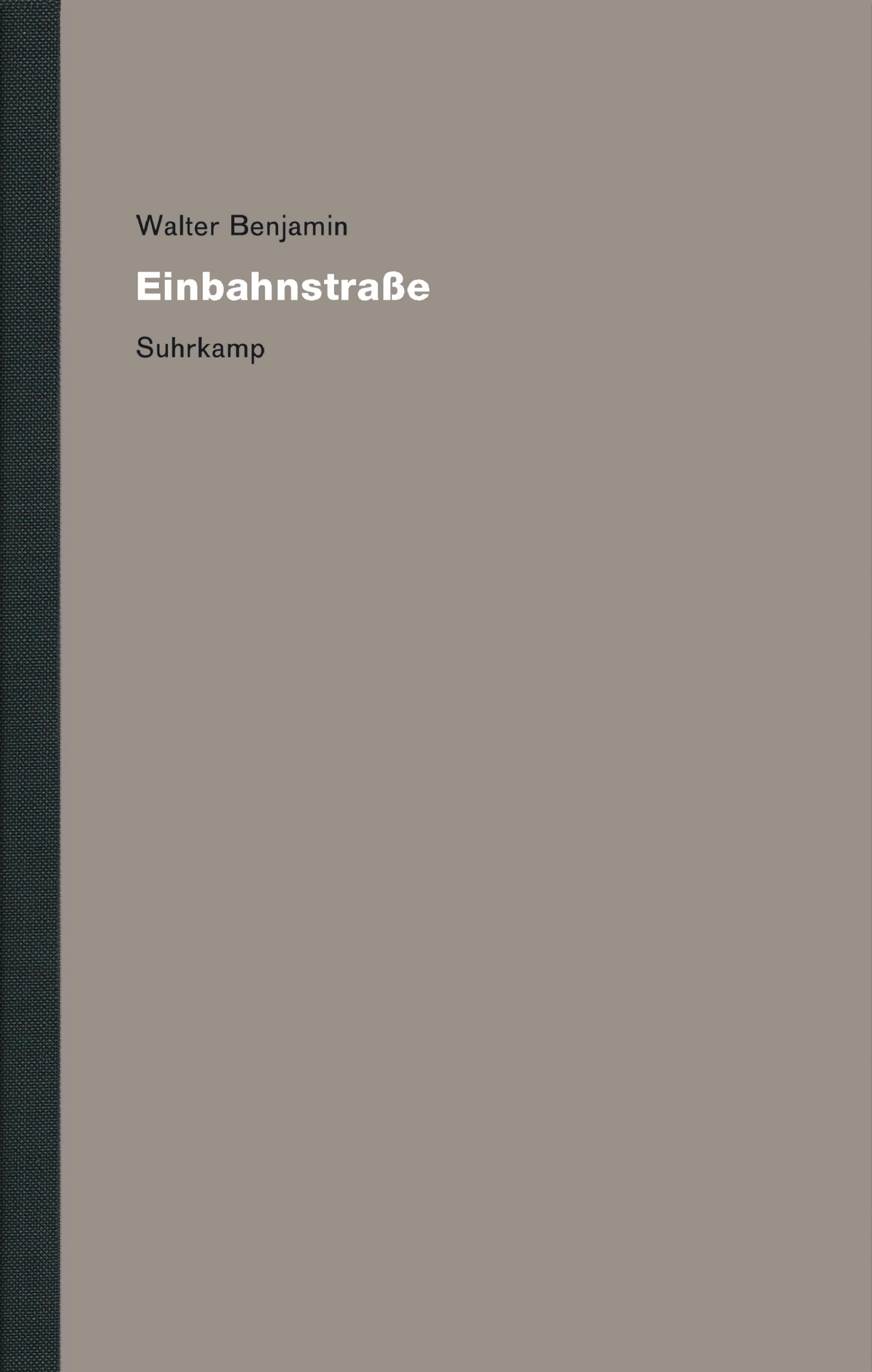 Vorderes Coverbild Werke und Nachlaß. Kritische Gesamtausgabe 8