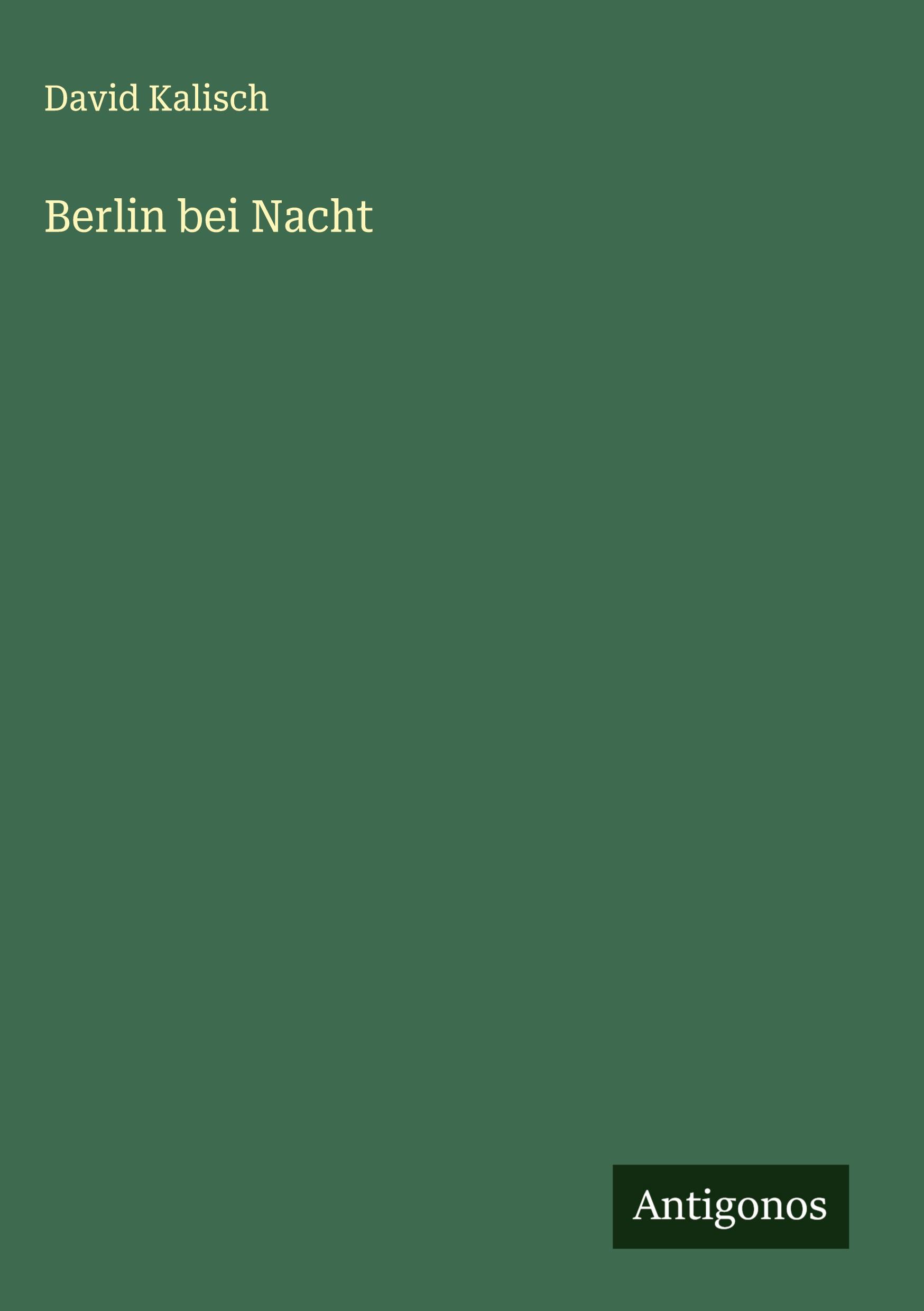 Vorderes Coverbild Berlin bei Nacht