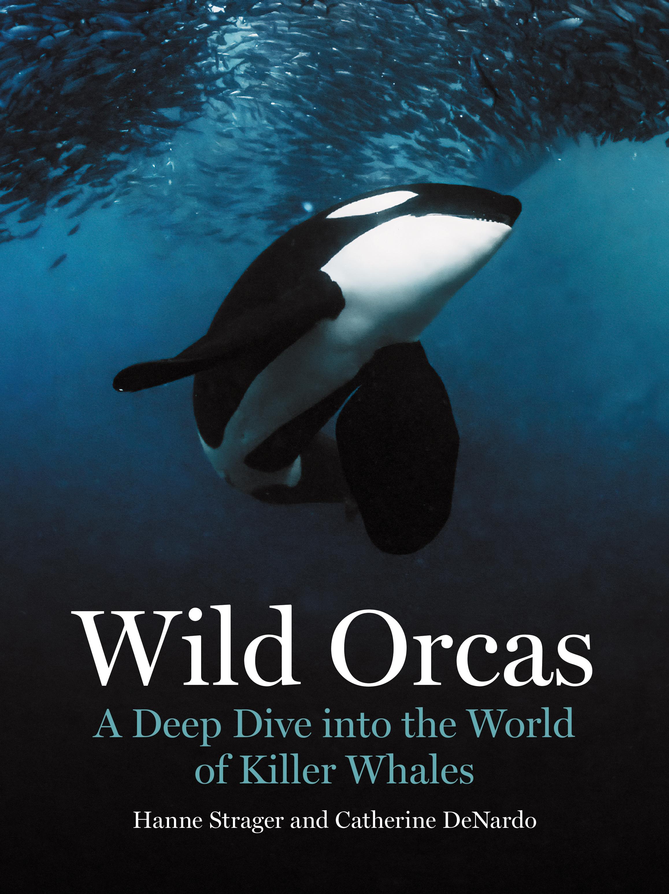 Vorderes Coverbild Wild Orcas