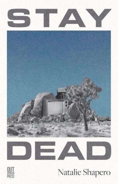 Vorderes Coverbild Stay Dead