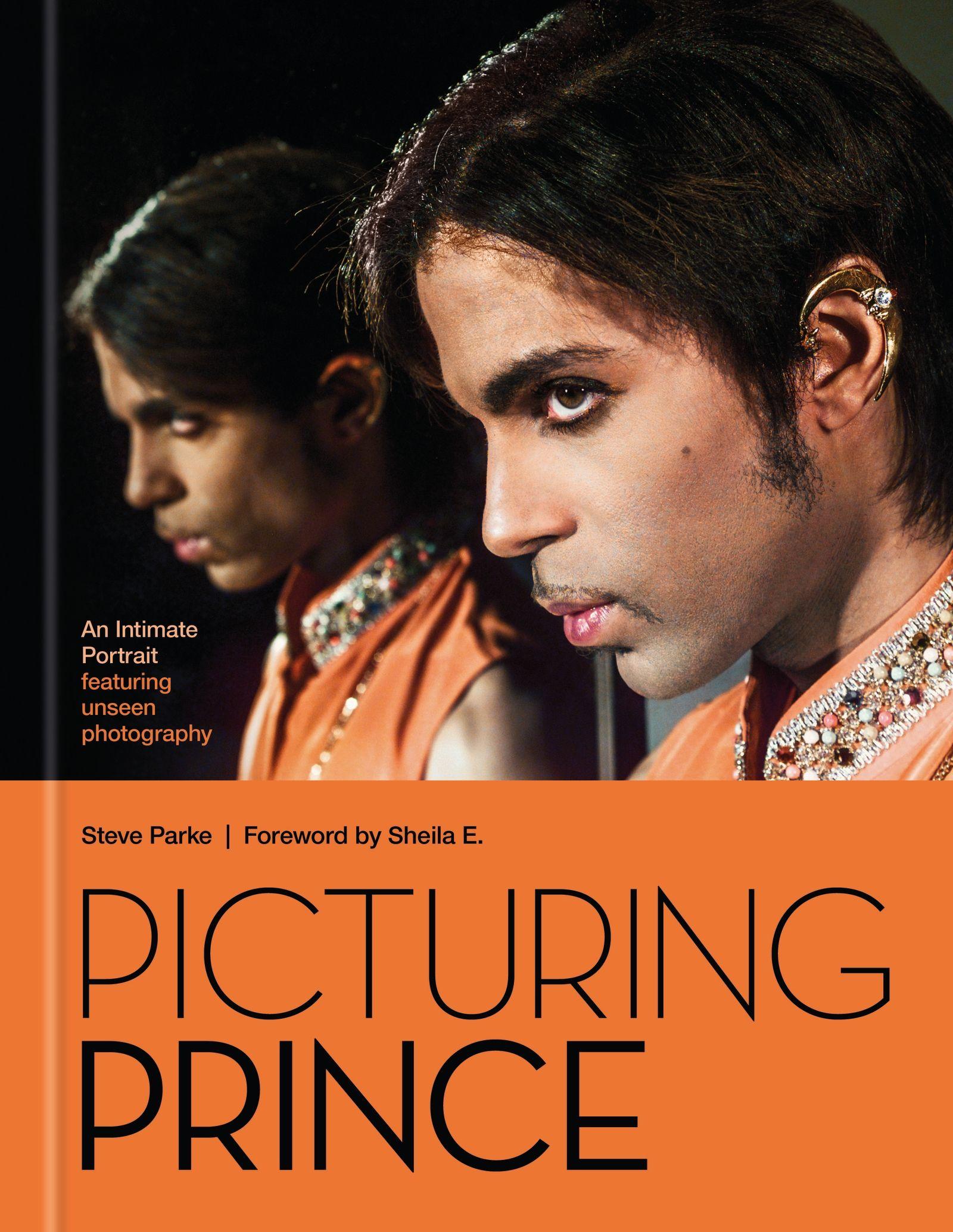 Vorderes Coverbild Picturing Prince