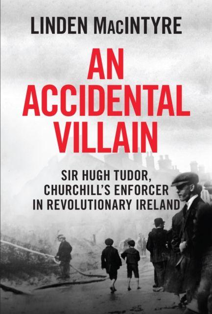 Vorderes Coverbild An Accidental Villain