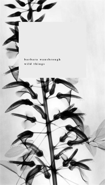 Vorderes Coverbild Wild Things