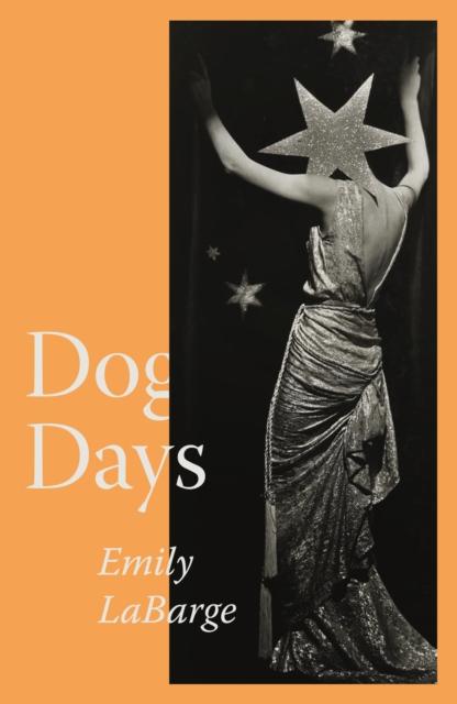 Vorderes Coverbild Dog Days