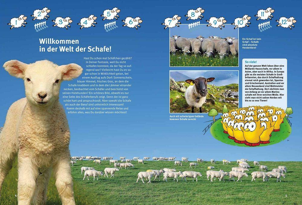 Beispielinhalt (Bild) Entdecke die Schafe