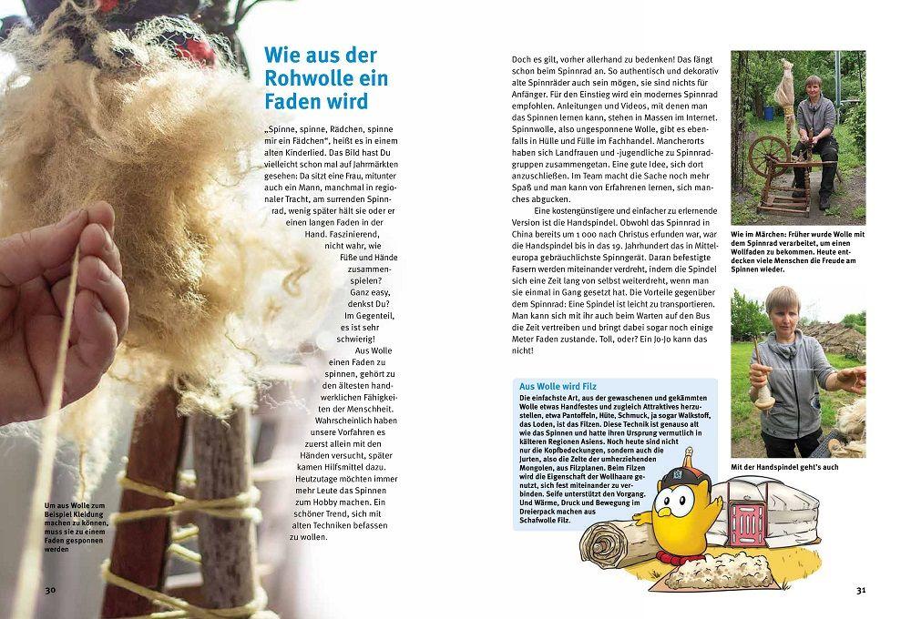 Beispielinhalt (Bild) Entdecke die Schafe