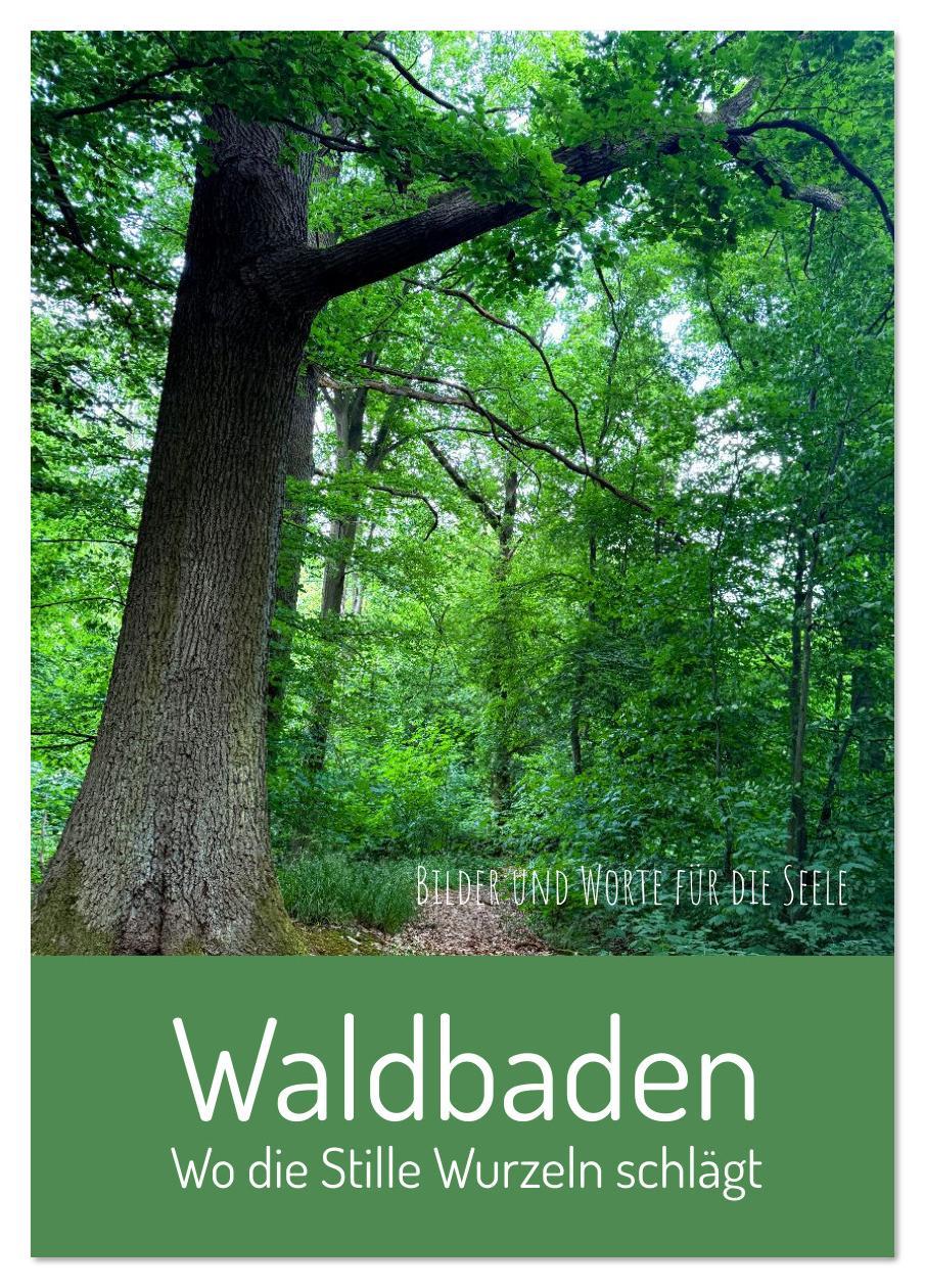 Vorderes Coverbild Waldbaden - Wo die Stille Wurzeln schlägt (Tischkalender 2026 DIN A5 hoch), CALVENDO Monatskalender