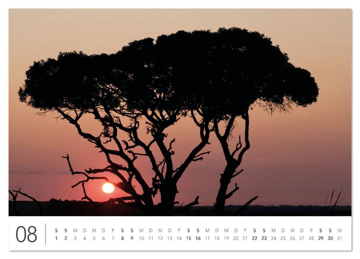 Beispielinhalt (Bild) Südafrika Garden Route (Wandkalender 2026 DIN A4 quer), CALVENDO Monatskalender