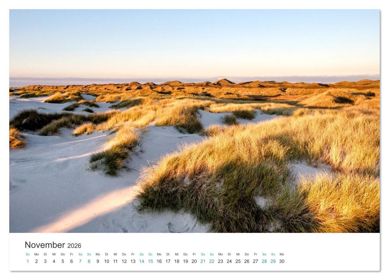 Beispielinhalt (Bild) Amrum: Natur und Freiheit (Wandkalender 2026 DIN A3 quer), CALVENDO Monatskalender