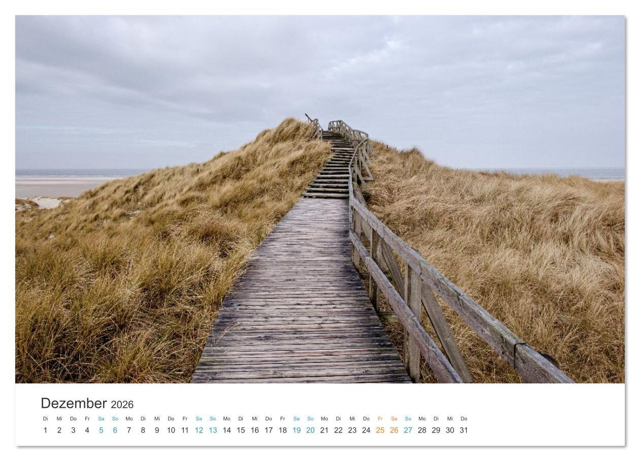Beispielinhalt (Bild) Amrum: Natur und Freiheit (Wandkalender 2026 DIN A3 quer), CALVENDO Monatskalender