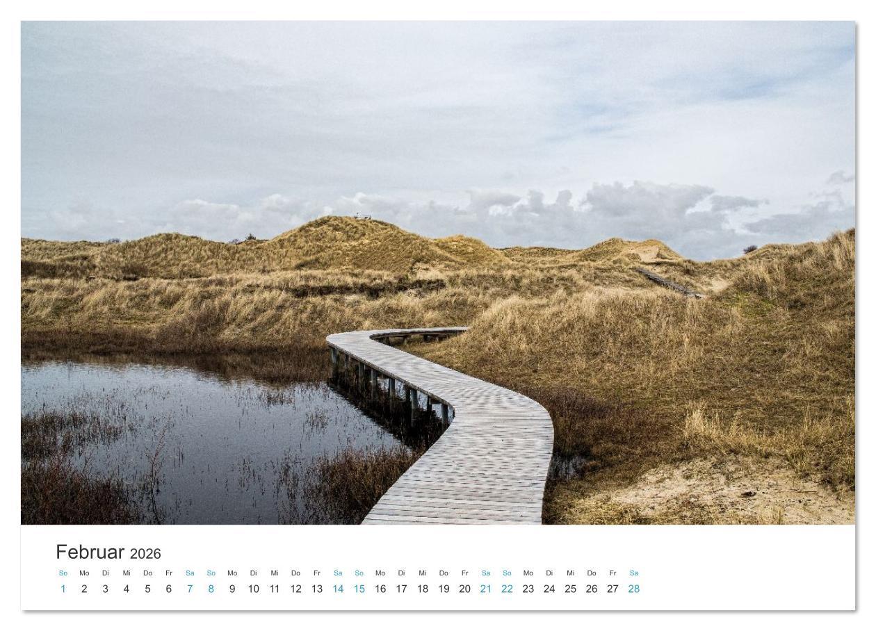 Beispielinhalt (Bild) Amrum: Natur und Freiheit (Wandkalender 2026 DIN A3 quer), CALVENDO Monatskalender