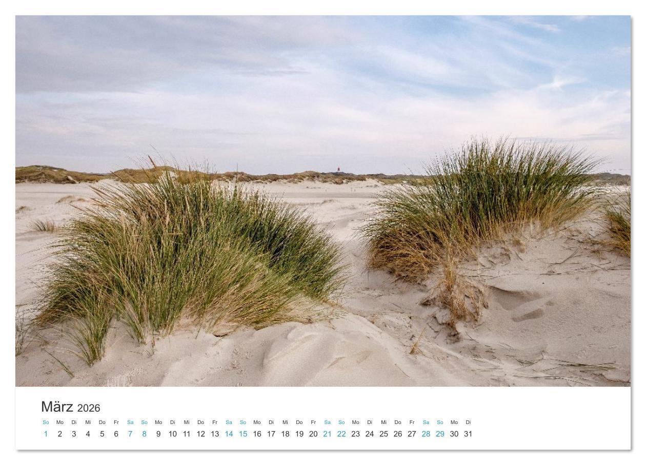 Beispielinhalt (Bild) Amrum: Natur und Freiheit (Wandkalender 2026 DIN A3 quer), CALVENDO Monatskalender