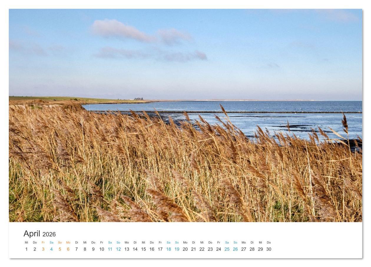 Beispielinhalt (Bild) Amrum: Natur und Freiheit (Wandkalender 2026 DIN A3 quer), CALVENDO Monatskalender