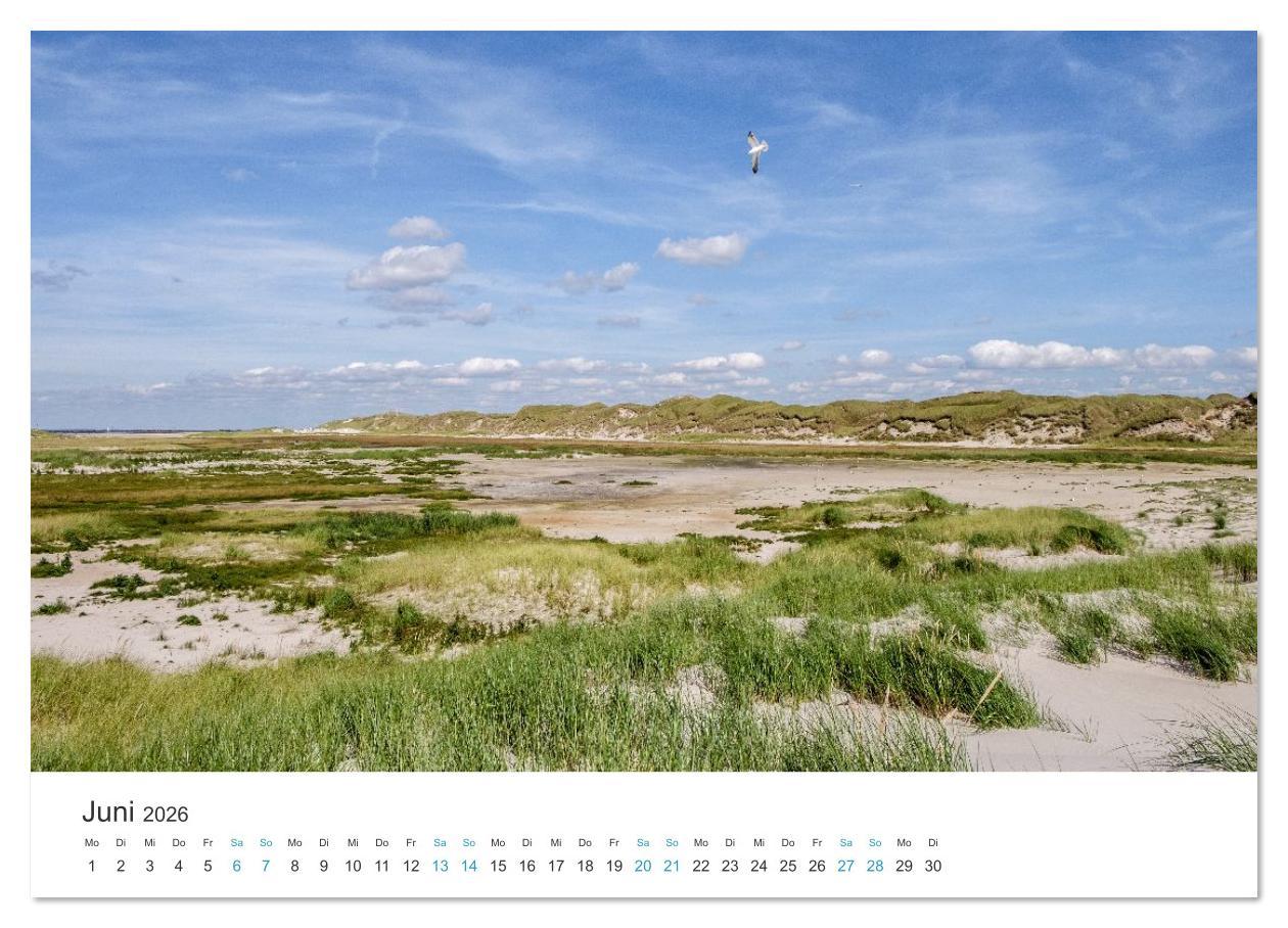 Beispielinhalt (Bild) Amrum: Natur und Freiheit (Wandkalender 2026 DIN A3 quer), CALVENDO Monatskalender